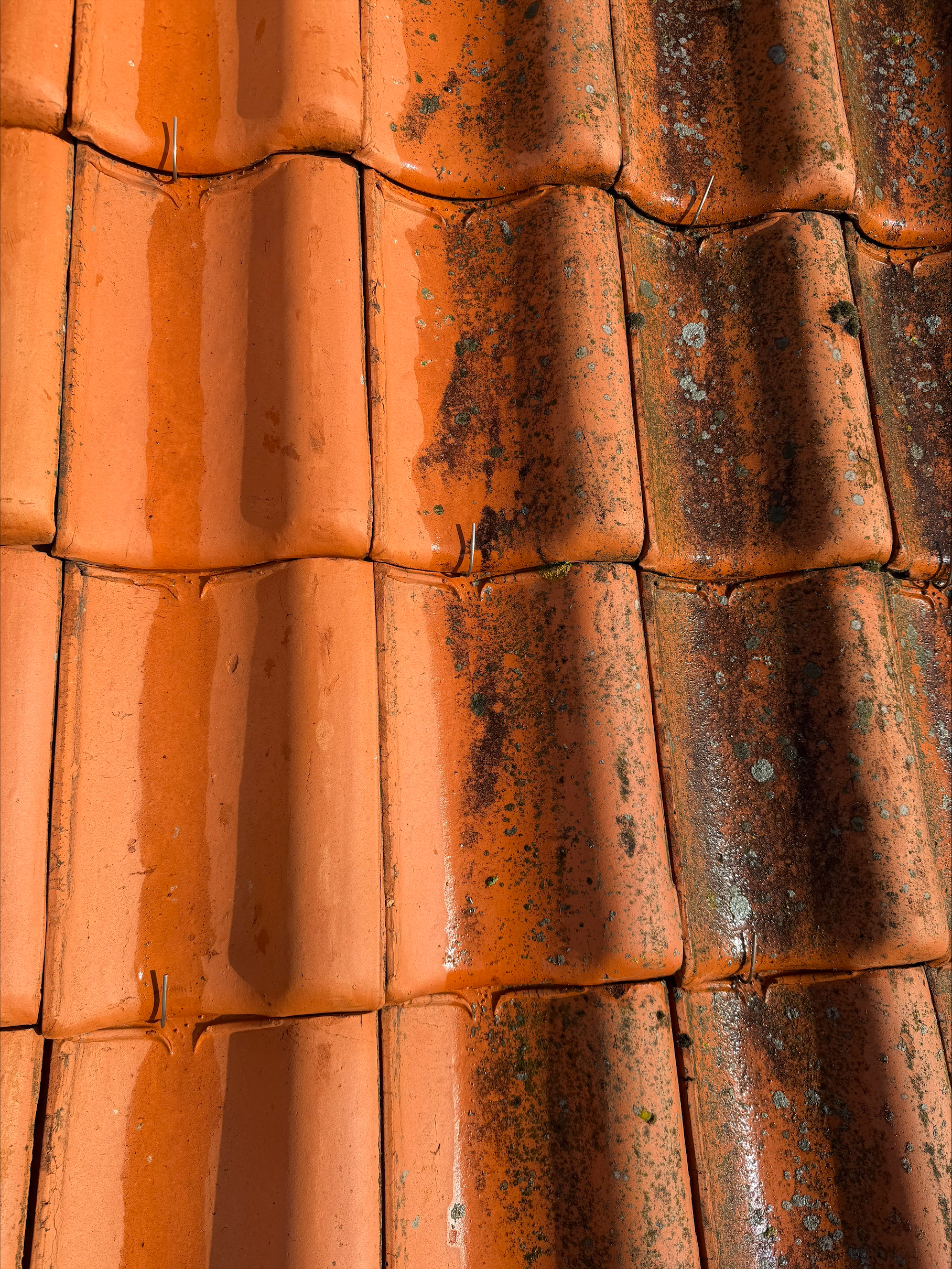 Detail van gereinigde dakpannen